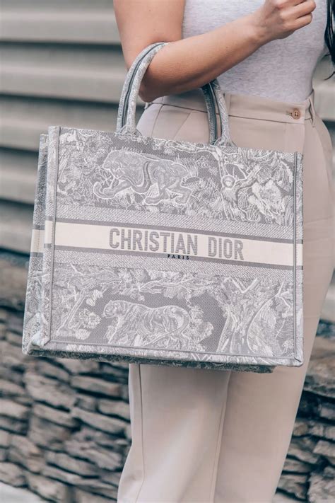 dior tote 2023|christian Dior tote bag.